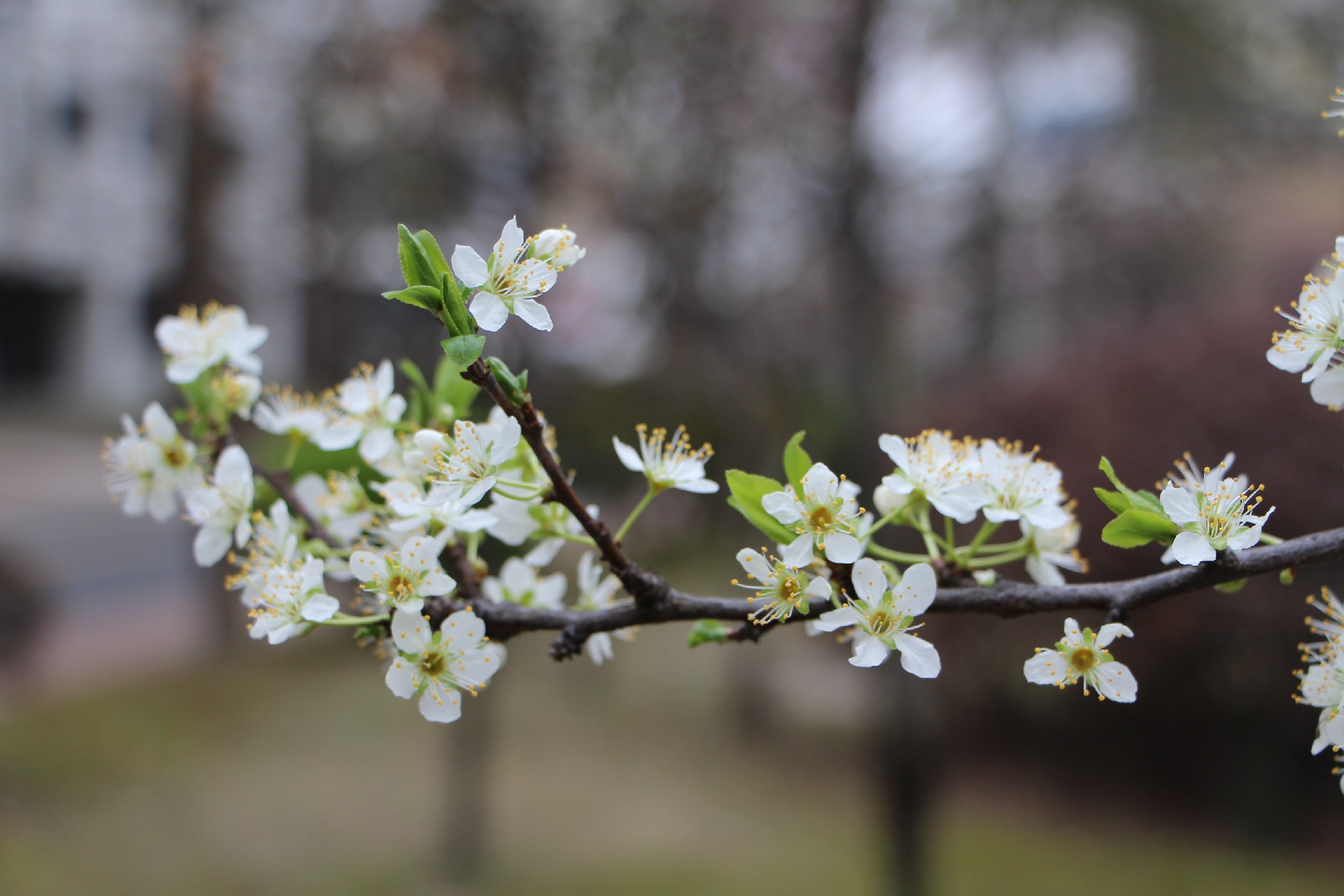 1695869312255271.jpg nFDtnS30TQuuvjfEWzX1YA.jpg_{i}xaf.jpg-tenantId=204757&viewType=1.jpg