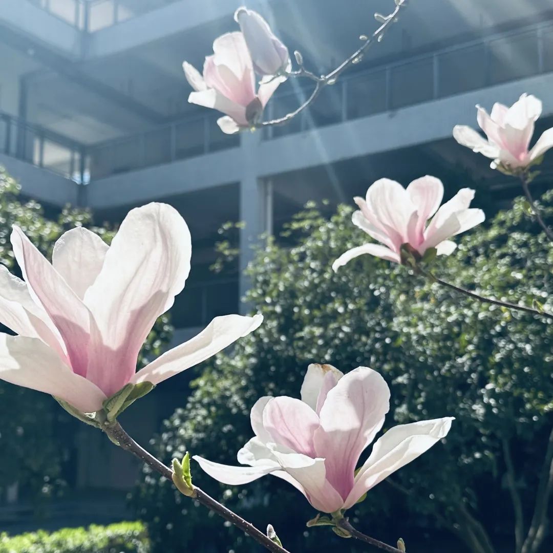 1695869350893900.jpg 7cQLG24wTdCLFRlnjk8cMA.jpg