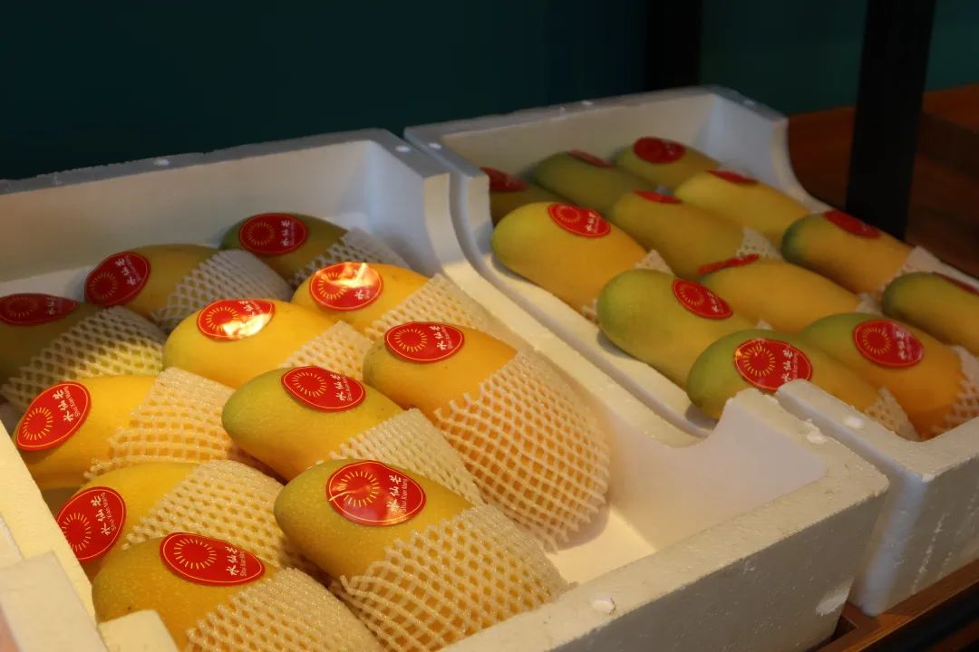 1695869385981929.jpg AaTQCcdzQzWUw6PUjvzlmA.jpg